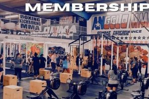 Best MMA Gyms & Training in San Angelo, TX Ultimate Guide to MMA: Training, Techniques, and Top Fighters in The World Best MMA Gyms & Training in San Angelo, TX | Ultimate Guide to MMA: Training, Techniques, and Top Fighters in The World
