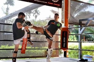 Best Tiger Muay Thai & MMA Camp in Phuket Ultimate Guide to MMA: Training, Techniques, and Top Fighters in The World Best Tiger Muay Thai & MMA Camp in Phuket | Ultimate Guide to MMA: Training, Techniques, and Top Fighters in The World