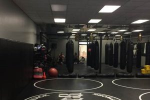 Best MMA Gym in Tulsa | Top Training Center Ultimate Guide to MMA: Training, Techniques, and Top Fighters in The World Best MMA Gym in Tulsa | Top Training Center | Ultimate Guide to MMA: Training, Techniques, and Top Fighters in The World