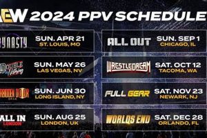 Upcoming MMA PPV Schedule & Fight Info Ultimate Guide to MMA: Training, Techniques, and Top Fighters in The World Upcoming MMA PPV Schedule & Fight Info | Ultimate Guide to MMA: Training, Techniques, and Top Fighters in The World