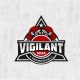 Train Safe, Fight Smart: Vigilant MMA Training | Ultimate Guide to MMA: Training, Techniques, and Top Fighters in The World