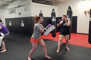 Mastering the 4 Elements of MMA Fighting Ultimate Guide to MMA: Training, Techniques, and Top Fighters in The World Mastering the 4 Elements of MMA Fighting | Ultimate Guide to MMA: Training, Techniques, and Top Fighters in The World