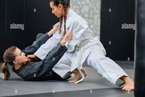 The Ultimate Guide to MMA Karate Techniques Ultimate Guide to MMA: Training, Techniques, and Top Fighters in The World The Ultimate Guide to MMA Karate Techniques | Ultimate Guide to MMA: Training, Techniques, and Top Fighters in The World