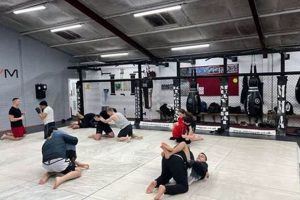 Find Your Fight: Closest MMA Gyms Near You | Train Now Ultimate Guide to MMA: Training, Techniques, and Top Fighters in The World Find Your Fight: Closest MMA Gyms Near You | Train Now | Ultimate Guide to MMA: Training, Techniques, and Top Fighters in The World