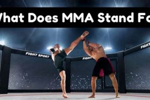 What Does MMA Stand For? Meaning & FAQs Ultimate Guide to MMA: Training, Techniques, and Top Fighters in The World What Does MMA Stand For? Meaning & FAQs | Ultimate Guide to MMA: Training, Techniques, and Top Fighters in The World