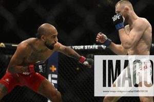 Upcoming MMA Fights St. Louis MO Schedule Ultimate Guide to MMA: Training, Techniques, and Top Fighters in The World Upcoming MMA Fights St. Louis MO Schedule | Ultimate Guide to MMA: Training, Techniques, and Top Fighters in The World