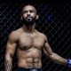 The Ultimate Guide to Demetrius Johnson's MMA Record | Ultimate Guide to MMA: Training, Techniques, and Top Fighters in The World