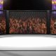 Premier MMA University Lake Training Center | Ultimate Guide to MMA: Training, Techniques, and Top Fighters in The World