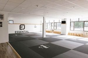 Top MMA Gyms in Colorado: Train Like a Pro Ultimate Guide to MMA: Training, Techniques, and Top Fighters in The World Top MMA Gyms in Colorado: Train Like a Pro | Ultimate Guide to MMA: Training, Techniques, and Top Fighters in The World