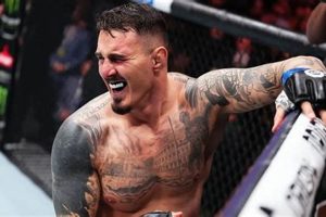 Top MMA Fights Near Me in 2024: Find Tickets Ultimate Guide to MMA: Training, Techniques, and Top Fighters in The World Top MMA Fights Near Me in 2024: Find Tickets | Ultimate Guide to MMA: Training, Techniques, and Top Fighters in The World