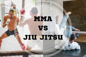 Mma Vs Jiu Jitsu Ultimate Guide to MMA: Training, Techniques, and Top Fighters in The World Mma Vs Jiu Jitsu | Ultimate Guide to MMA: Training, Techniques, and Top Fighters in The World