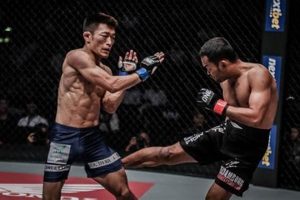 Dominate MMA with Brutal Leg Kicks Ultimate Guide to MMA: Training, Techniques, and Top Fighters in The World Dominate MMA with Brutal Leg Kicks | Ultimate Guide to MMA: Training, Techniques, and Top Fighters in The World