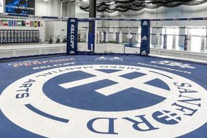 Best Sanford MMA Gym: Train Like a Pro Ultimate Guide to MMA: Training, Techniques, and Top Fighters in The World Best Sanford MMA Gym: Train Like a Pro | Ultimate Guide to MMA: Training, Techniques, and Top Fighters in The World
