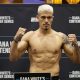MMA Fighter Marco Tulio: Bio, Stats & Highlights | Ultimate Guide to MMA: Training, Techniques, and Top Fighters in The World