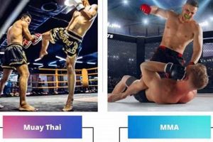 Muay Thai vs. MMA: Key Differences Explained Ultimate Guide to MMA: Training, Techniques, and Top Fighters in The World Muay Thai vs. MMA: Key Differences Explained | Ultimate Guide to MMA: Training, Techniques, and Top Fighters in The World