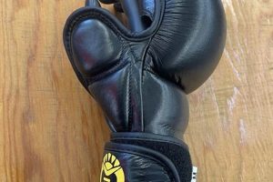 Best Hybrid MMA Gloves: Guide & Reviews Ultimate Guide to MMA: Training, Techniques, and Top Fighters in The World Best Hybrid MMA Gloves: Guide & Reviews | Ultimate Guide to MMA: Training, Techniques, and Top Fighters in The World