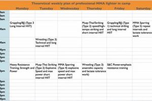 Ultimate MMA Training Schedule Guide Ultimate Guide to MMA: Training, Techniques, and Top Fighters in The World Ultimate MMA Training Schedule Guide | Ultimate Guide to MMA: Training, Techniques, and Top Fighters in The World