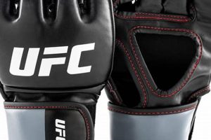 Best MMA Gloves on Amazon: Top Picks & Guide Ultimate Guide to MMA: Training, Techniques, and Top Fighters in The World Best MMA Gloves on Amazon: Top Picks & Guide | Ultimate Guide to MMA: Training, Techniques, and Top Fighters in The World