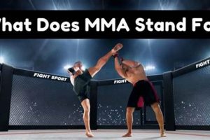 Mma Stands For Ultimate Guide to MMA: Training, Techniques, and Top Fighters in The World Mma Stands For | Ultimate Guide to MMA: Training, Techniques, and Top Fighters in The World