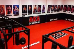 Best AKA MMA Gym: Train Like a Pro Ultimate Guide to MMA: Training, Techniques, and Top Fighters in The World Best AKA MMA Gym: Train Like a Pro | Ultimate Guide to MMA: Training, Techniques, and Top Fighters in The World