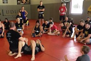 Best Adult MMA Gyms & Classes Near Me Ultimate Guide to MMA: Training, Techniques, and Top Fighters in The World Best Adult MMA Gyms & Classes Near Me | Ultimate Guide to MMA: Training, Techniques, and Top Fighters in The World