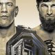 Watch Live MMA Streams: Secure & Reliable Options | Ultimate Guide to MMA: Training, Techniques, and Top Fighters in The World