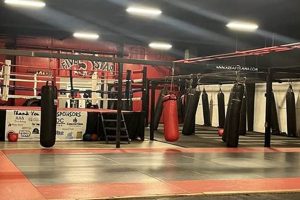 Best MMA Gyms & Training in Louisville, KY Ultimate Guide to MMA: Training, Techniques, and Top Fighters in The World Best MMA Gyms & Training in Louisville, KY | Ultimate Guide to MMA: Training, Techniques, and Top Fighters in The World