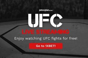 Watch Free MMA Fights Online: Best Sites & Tips Ultimate Guide to MMA: Training, Techniques, and Top Fighters in The World Watch Free MMA Fights Online: Best Sites & Tips | Ultimate Guide to MMA: Training, Techniques, and Top Fighters in The World