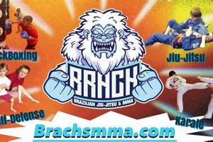 Top MMA Fighters at Brach's MMA LLC Ultimate Guide to MMA: Training, Techniques, and Top Fighters in The World Top MMA Fighters at Brach's MMA LLC | Ultimate Guide to MMA: Training, Techniques, and Top Fighters in The World