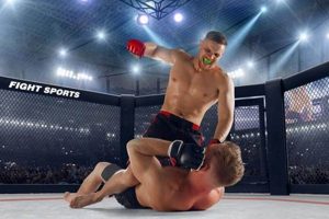 MMA for Beginners: Ultimate Guide Ultimate Guide to MMA: Training, Techniques, and Top Fighters in The World MMA for Beginners: Ultimate Guide | Ultimate Guide to MMA: Training, Techniques, and Top Fighters in The World