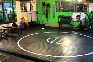 Build Your Ultimate Home MMA Gym Ultimate Guide to MMA: Training, Techniques, and Top Fighters in The World Build Your Ultimate Home MMA Gym | Ultimate Guide to MMA: Training, Techniques, and Top Fighters in The World