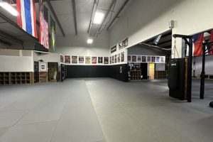 Best MMA Gyms & Training in Marietta, GA Ultimate Guide to MMA: Training, Techniques, and Top Fighters in The World Best MMA Gyms & Training in Marietta, GA | Ultimate Guide to MMA: Training, Techniques, and Top Fighters in The World