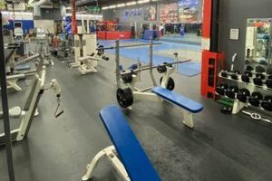 Watch Palatine MMA Live & On-Demand | FloSports | Ultimate Guide to MMA: Training, Techniques, and Top Fighters in The World