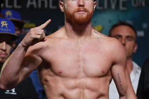 Canelo in MMA: Boxing Champ's Potential Ultimate Guide to MMA: Training, Techniques, and Top Fighters in The World Canelo in MMA: Boxing Champ's Potential | Ultimate Guide to MMA: Training, Techniques, and Top Fighters in The World