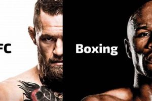 Best MMA, UFC & Boxing: Fight Style Compared | Ultimate Guide to MMA: Training, Techniques, and Top Fighters in The World