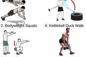 Strength And Conditioning Routine For Mma Ultimate Guide to MMA: Training, Techniques, and Top Fighters in The World Strength And Conditioning Routine For Mma | Ultimate Guide to MMA: Training, Techniques, and Top Fighters in The World