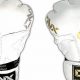 Best Trevor Wittman MMA Gloves for Training | Ultimate Guide to MMA: Training, Techniques, and Top Fighters in The World