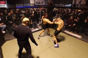 Epic Street Fighter vs. MMA Fighter Showdown! Ultimate Guide to MMA: Training, Techniques, and Top Fighters in The World Epic Street Fighter vs. MMA Fighter Showdown! | Ultimate Guide to MMA: Training, Techniques, and Top Fighters in The World