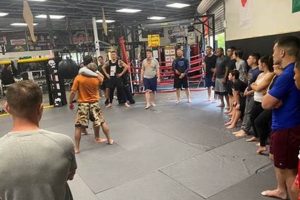 Best Compound MMA in Oceanside: Train Now! Ultimate Guide to MMA: Training, Techniques, and Top Fighters in The World Best Compound MMA in Oceanside: Train Now! | Ultimate Guide to MMA: Training, Techniques, and Top Fighters in The World