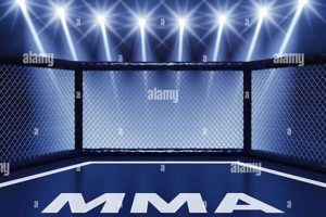 Ultimate MMA Fighting Cage Guide Ultimate Guide to MMA: Training, Techniques, and Top Fighters in The World Ultimate MMA Fighting Cage Guide | Ultimate Guide to MMA: Training, Techniques, and Top Fighters in The World