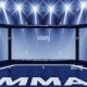 Ultimate MMA Fighting Cage Guide | Ultimate Guide to MMA: Training, Techniques, and Top Fighters in The World