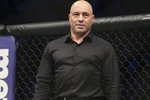 The Ultimate Guide to MMA Announcer Careers | Ultimate Guide to MMA: Training, Techniques, and Top Fighters in The World