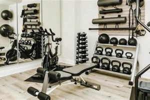 Build Your MMA Gym at Home: Ultimate Guide Ultimate Guide to MMA: Training, Techniques, and Top Fighters in The World Build Your MMA Gym at Home: Ultimate Guide | Ultimate Guide to MMA: Training, Techniques, and Top Fighters in The World
