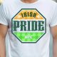Unleash Your Inner Warrior: Celtic Pride MMA | Ultimate Guide to MMA: Training, Techniques, and Top Fighters in The World