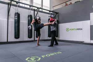 Best MMA Gym in Dallas TX | Fortis MMA Ultimate Guide to MMA: Training, Techniques, and Top Fighters in The World Best MMA Gym in Dallas TX | Fortis MMA | Ultimate Guide to MMA: Training, Techniques, and Top Fighters in The World