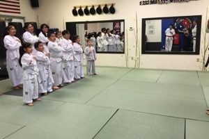 Best MMA Classes & Gyms in Las Vegas NV Ultimate Guide to MMA: Training, Techniques, and Top Fighters in The World Best MMA Classes & Gyms in Las Vegas NV | Ultimate Guide to MMA: Training, Techniques, and Top Fighters in The World