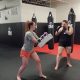 Essential Elements of MMA Training | Ultimate Guide to MMA: Training, Techniques, and Top Fighters in The World