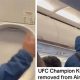 Khabib Flight: The Takedown Mastery | Ultimate Guide to MMA: Training, Techniques, and Top Fighters in The World