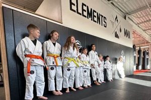 Mma Nh Ultimate Guide to MMA: Training, Techniques, and Top Fighters in The World Mma Nh | Ultimate Guide to MMA: Training, Techniques, and Top Fighters in The World