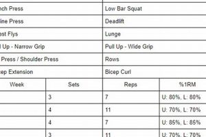 Ultimate 12-Week MMA Training Guide Ultimate Guide to MMA: Training, Techniques, and Top Fighters in The World Ultimate 12-Week MMA Training Guide | Ultimate Guide to MMA: Training, Techniques, and Top Fighters in The World
